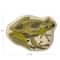 Hello Honey® Green 11.75" Garden Frog Stoneware Plate
